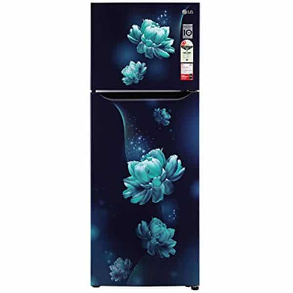 LG Double Door 284 Litres 2 Star Refrigerator Blue Charm GL-T302SBCY