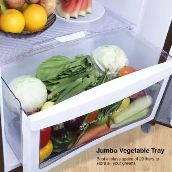 Godrej 210 L Frost Free Double Door 2 Star Refrigerator  (Steel Glow, RT EONALPHA 250B RI ST GL) - Image 10